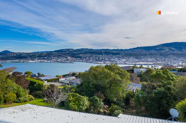 171 Larnach Road Waverley_3