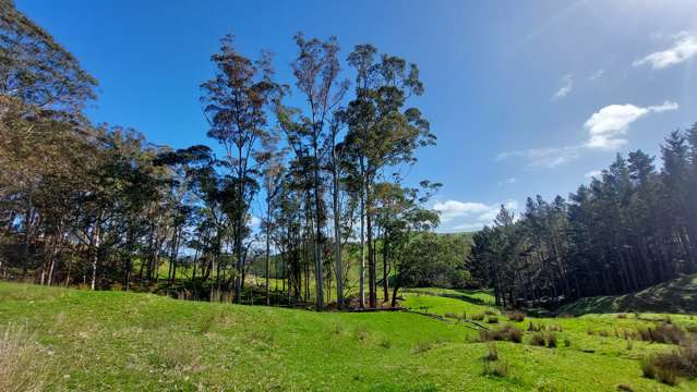 Cnr Milne and Aponga Stream Road Purua_4