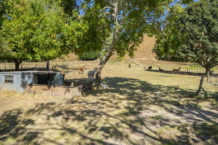 174 Thorpe-Orinoco Road Ngatimoti_19