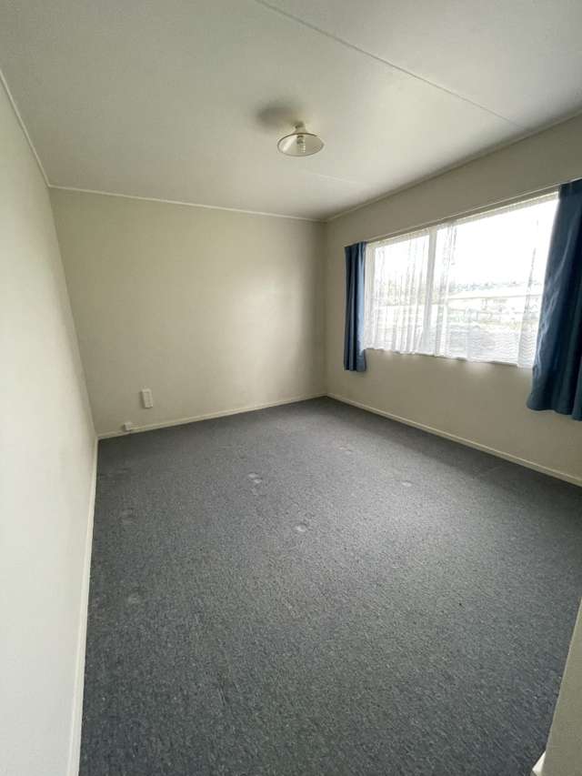 15 Guy Avenue Levin_3