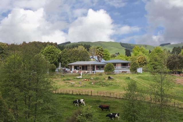 405a Scotsman Valley Road Tauwhare_1