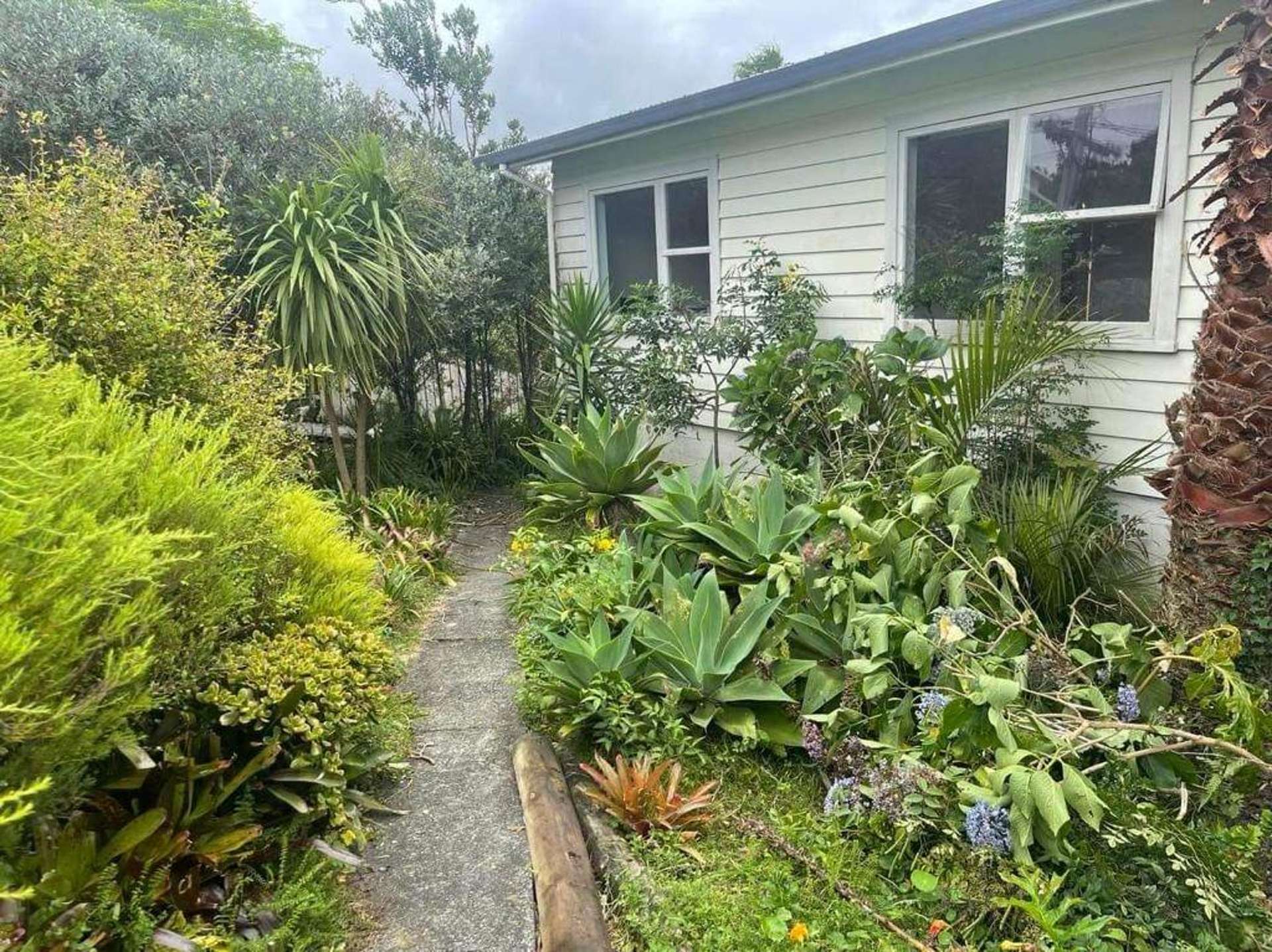 8 Ocean View Road Hatfields Beach Rodney Houses for Rent One Roof