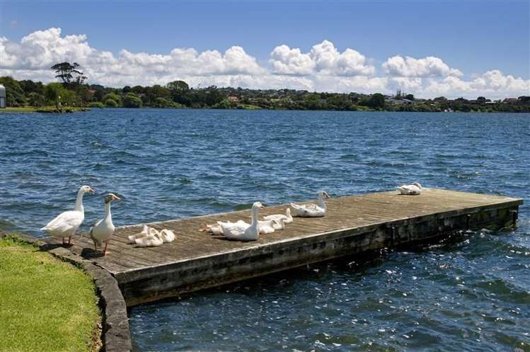 47 Lake View Road Takapuna_16