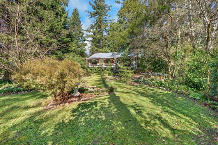 108 Homebush Road Glentunnel_13