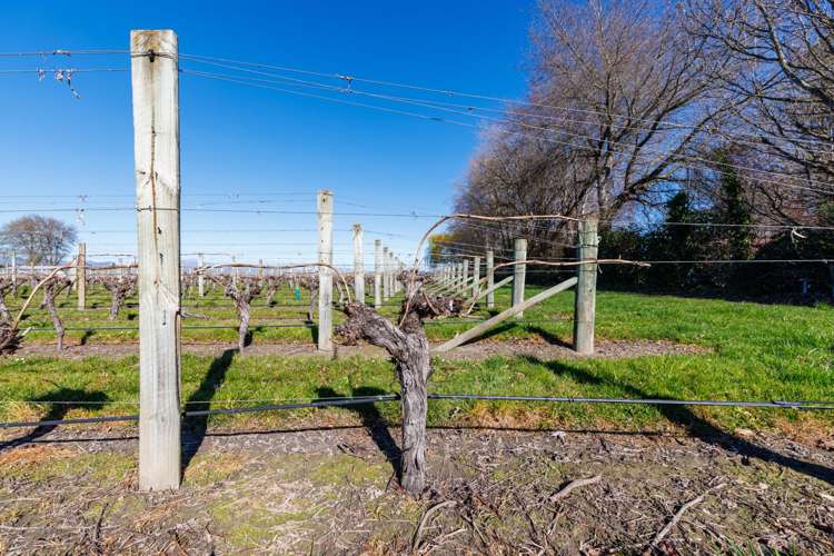 152 Murrays Road Spring Creek_10