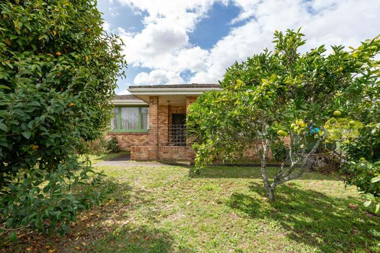 56 Peachgrove Road Hamilton East_16