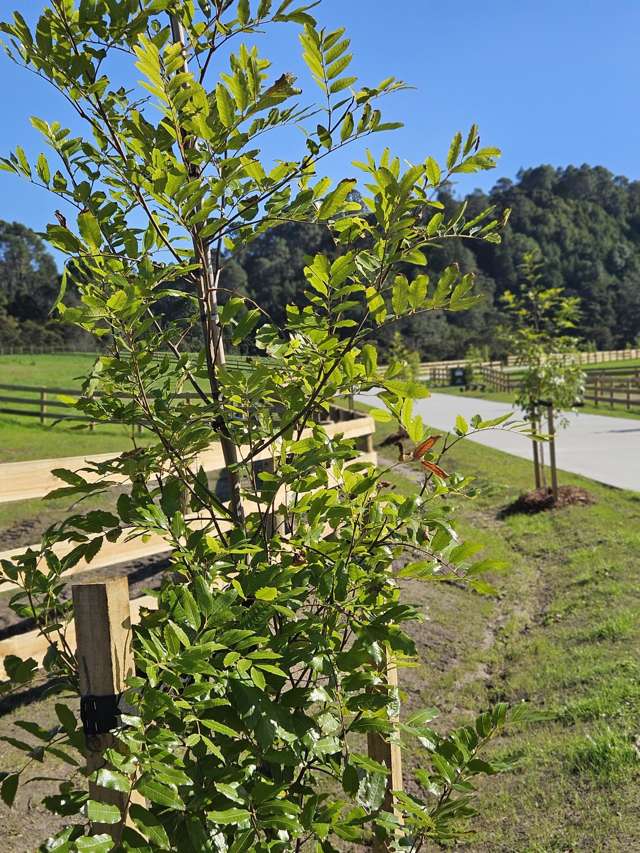 948 Coatesville Riverhead Highway Riverhead_2