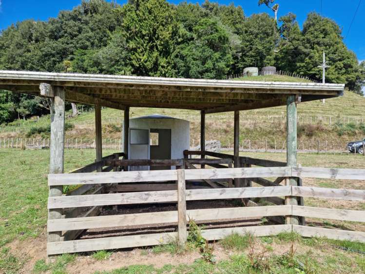 3779 Whanganui River Road (State Highway 43) Ruapehu-King Country Surrounds_24