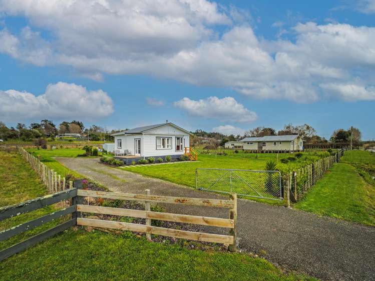 91 Willoughby Street Halcombe_11