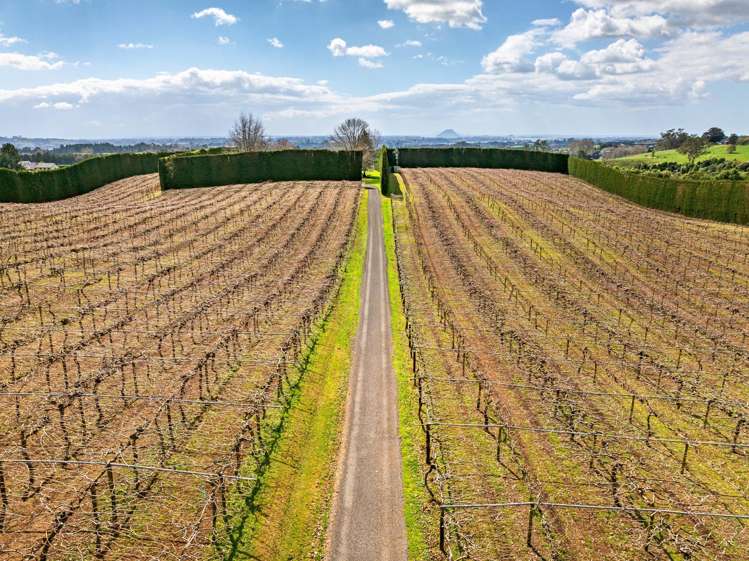 85a Castles Road Oropi_22