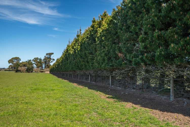 266 Rangiora Leithfield Road Sefton_25