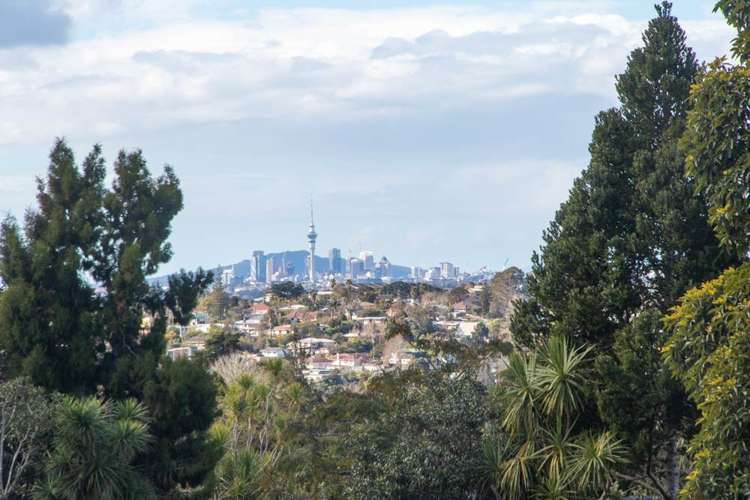 2 Stallard Place Glen Eden_14