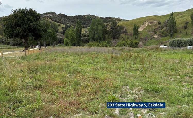 293 State Highway 5 Eskdale_8