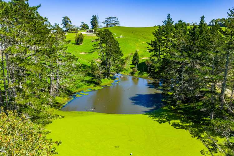 29 Keer Road Dargaville_32