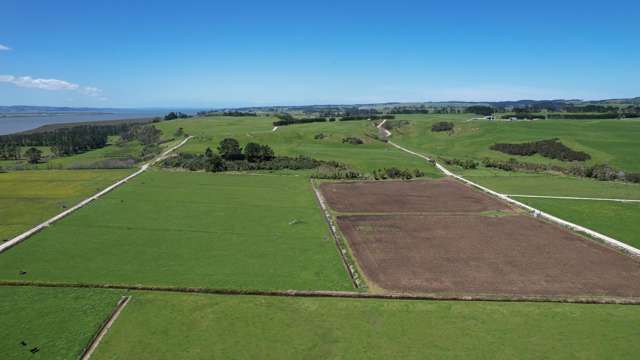 2611 Pouto Road Te Kopuru_1