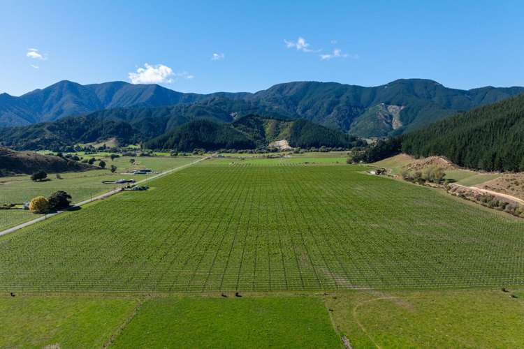 95 Speeds Road Koromiko_7