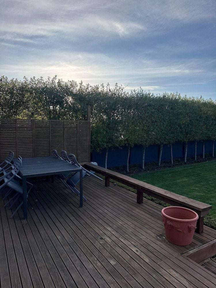 3 Elliott Crescent Havelock North_5