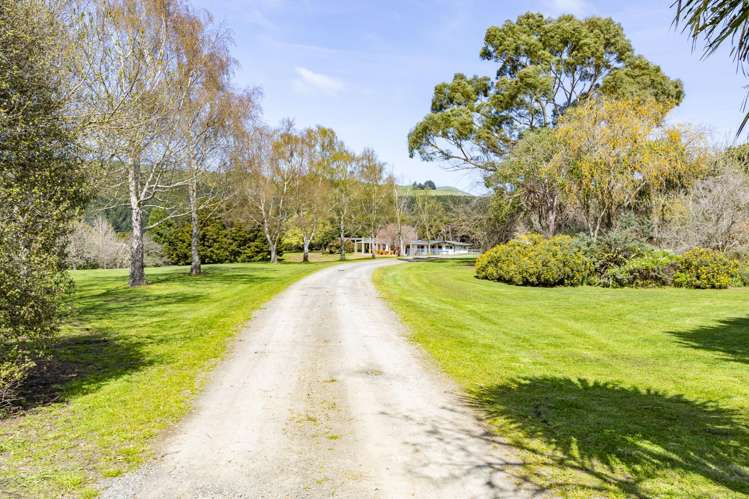 236 Tower Street Ormondville_15