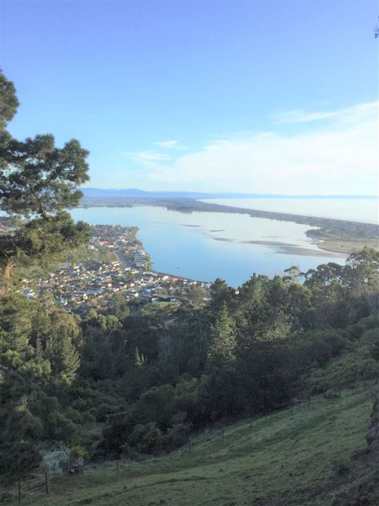 148g Panorama Road Clifton_5