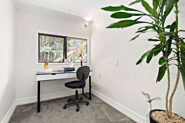 30 Shetland Street Glen Eden_11