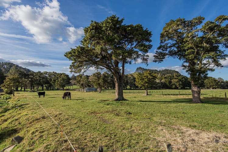 243 Harris Road Glenbervie_29