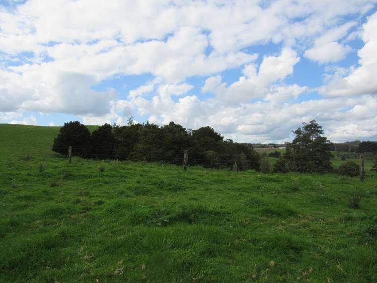 Bisset Road Kaikohe_8