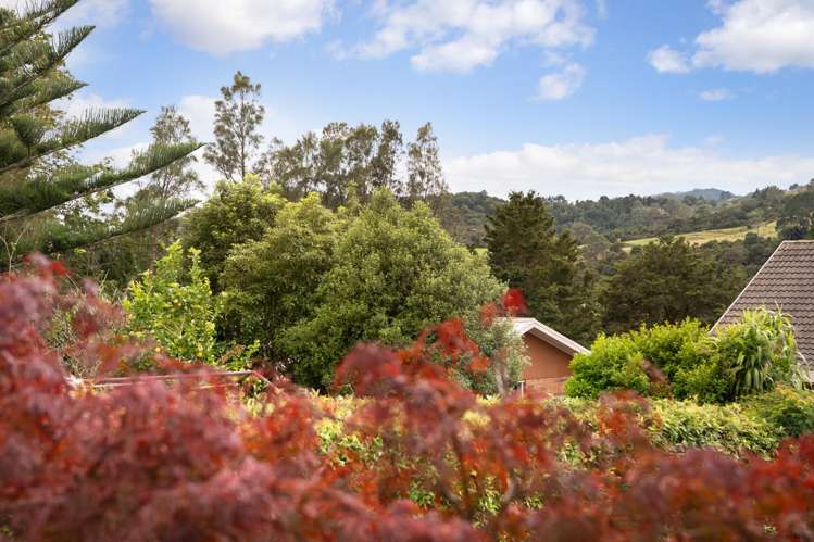 55B Albert Street Karangahake_24