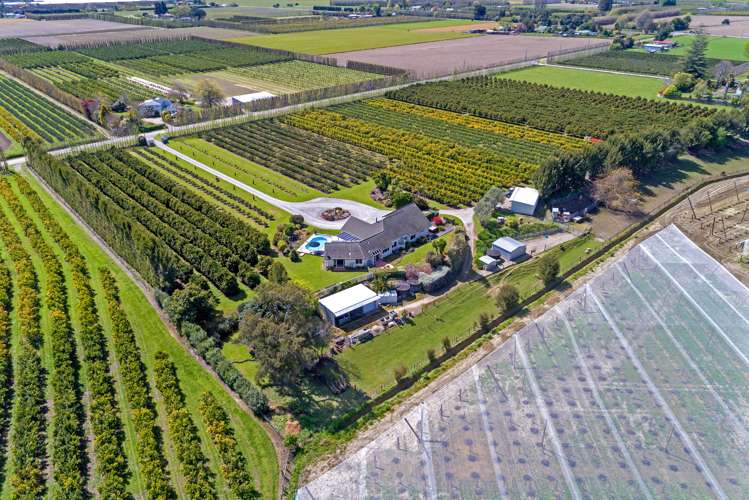 63 Brown Road Ormond_28