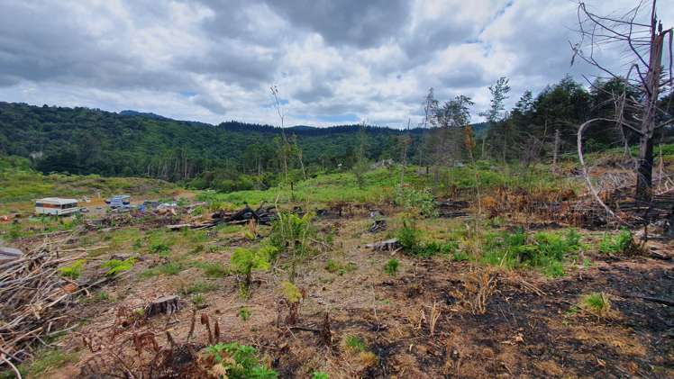 574 Honeymoon Valley Road Peria_6