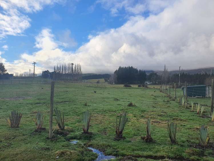 32 Forest Street Lumsden_4