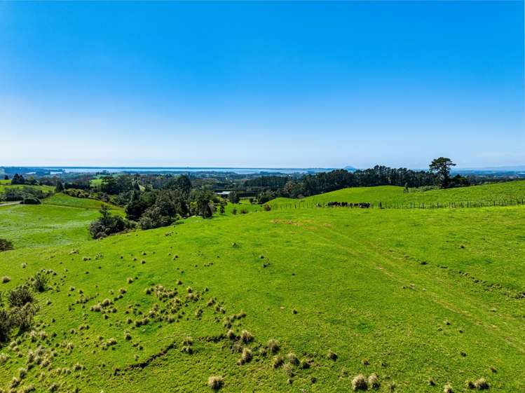 383 Busby Road Katikati_11