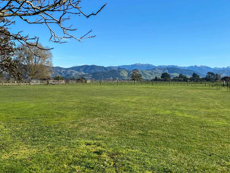 3341 State Highway 2 Carterton_15