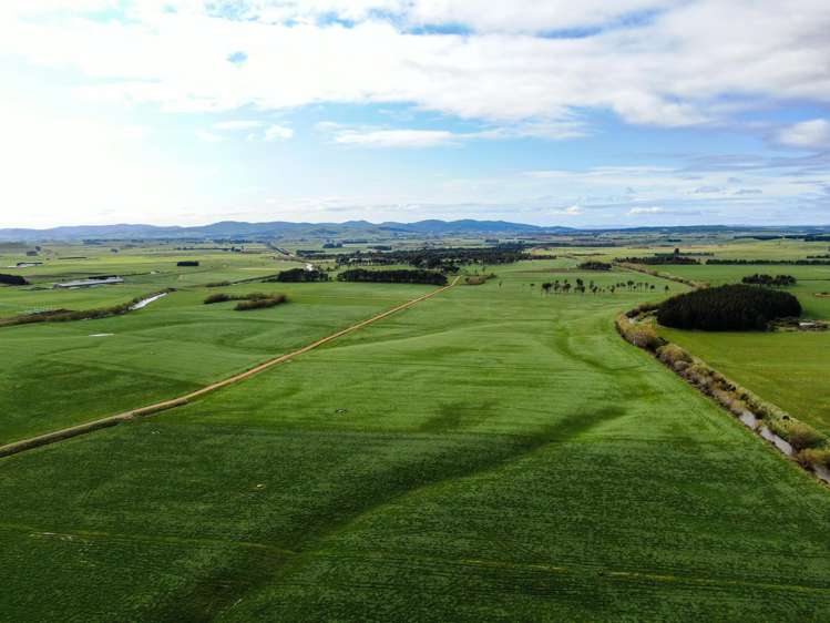 78 Channel Road Tussock Creek_16