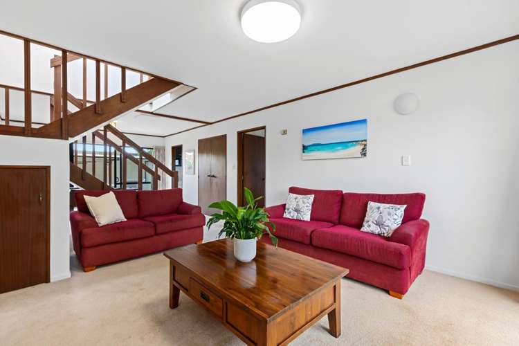 14B Tutchen Street Tauranga Central_10