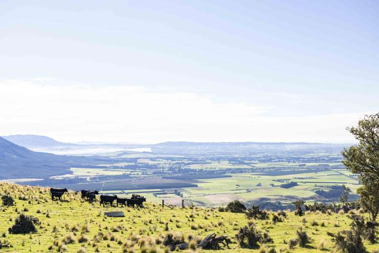 103 Glentui Bush Road Oxford_29