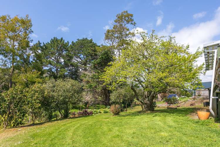 1965 Tiki Road, SH25, Coromandel Coromandel_19