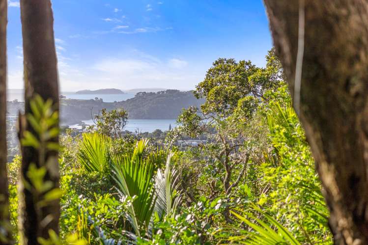 71 Trig Hill Road Onetangi_14