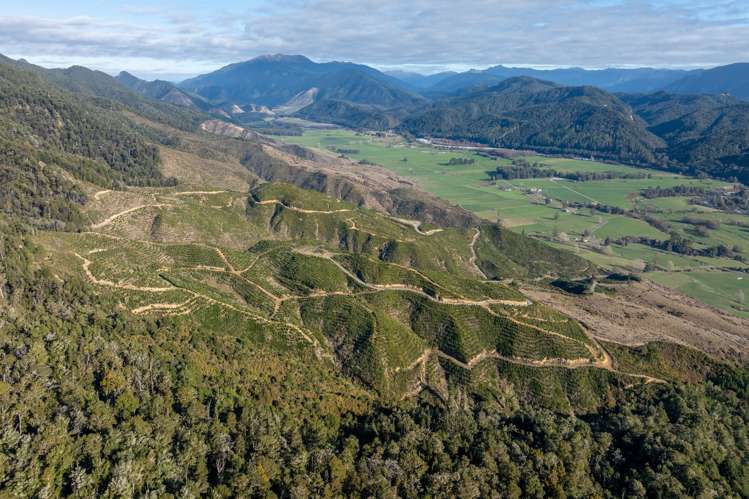 Matakitaki Road Murchison_8