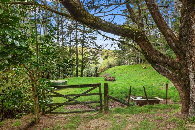 709 Carrington Road Hurworth_21