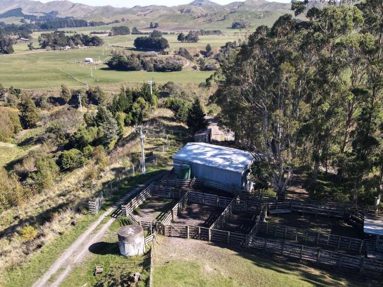 196 Ngapaeruru Rd Dannevirke_23