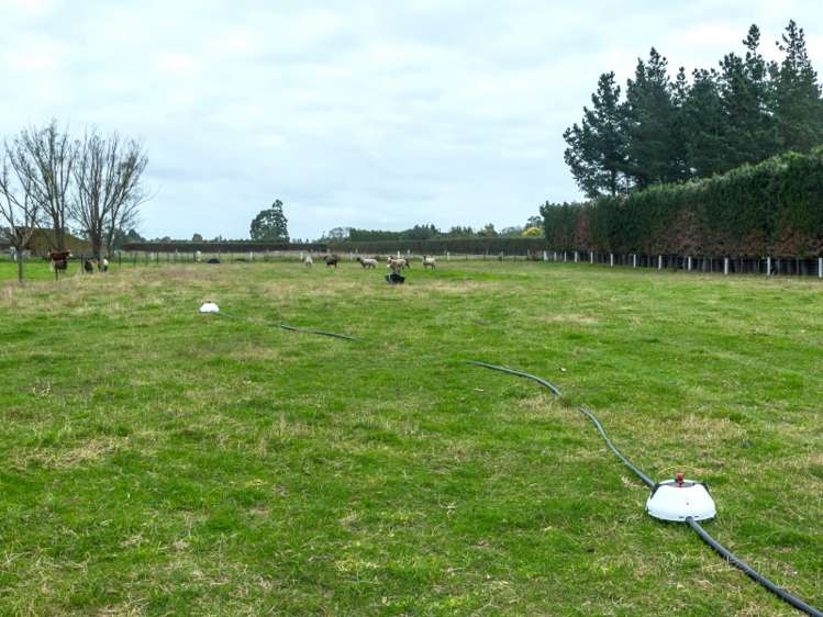 229 Rakaia Barrhill Methven Road Rakaia_7