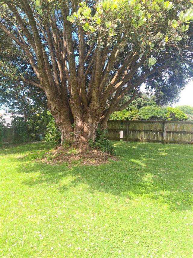 218 Egmont Street Patea_4