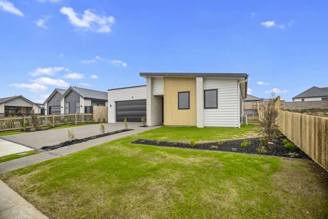 5 Manning Street Hamilton Central_1