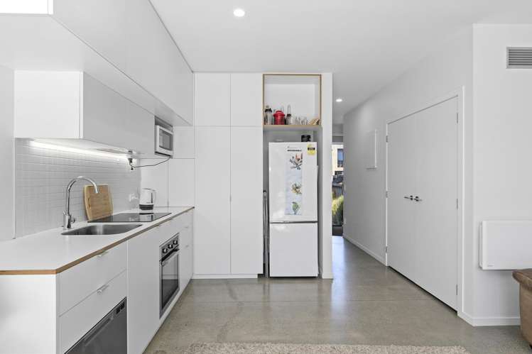 47 Te Ara O Paetutu Petone_5