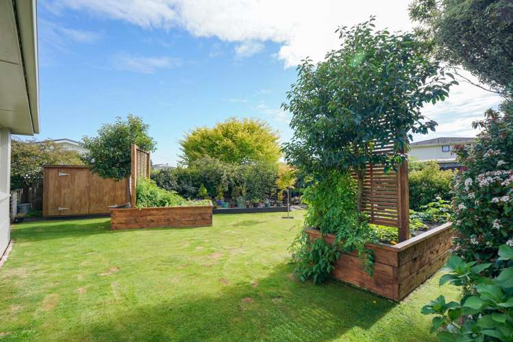 28 Cruickshank Crescent Rosedale_19