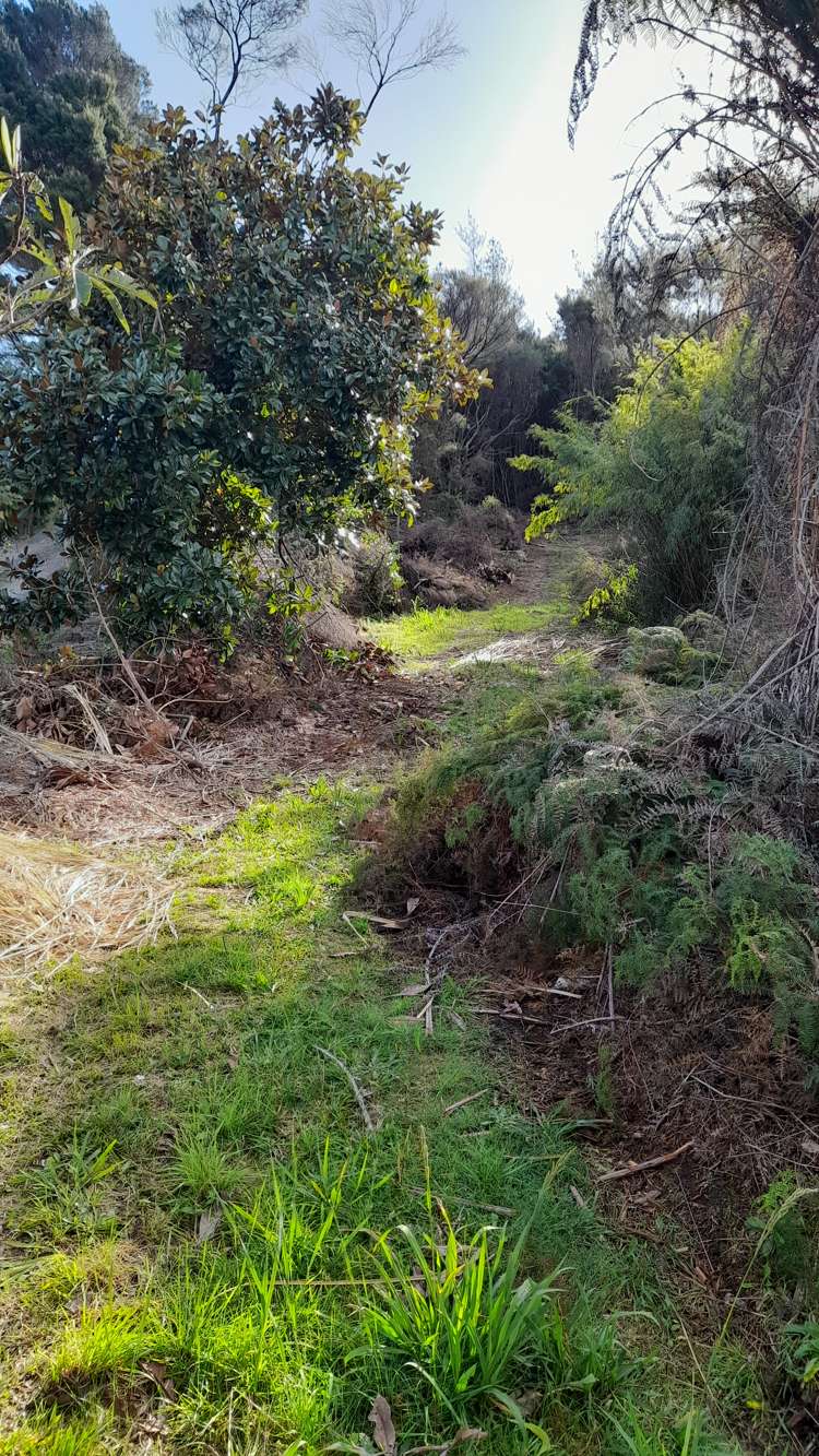 119 Cable Bay Block Road Cable Bay_13