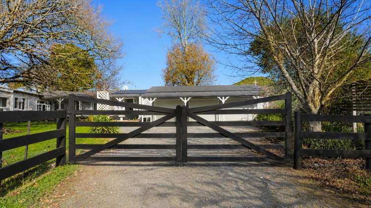 232 Martin Road Te Kauwhata_4