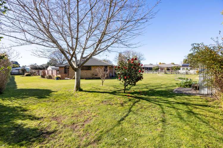 510 Beechey Street Pirongia_26