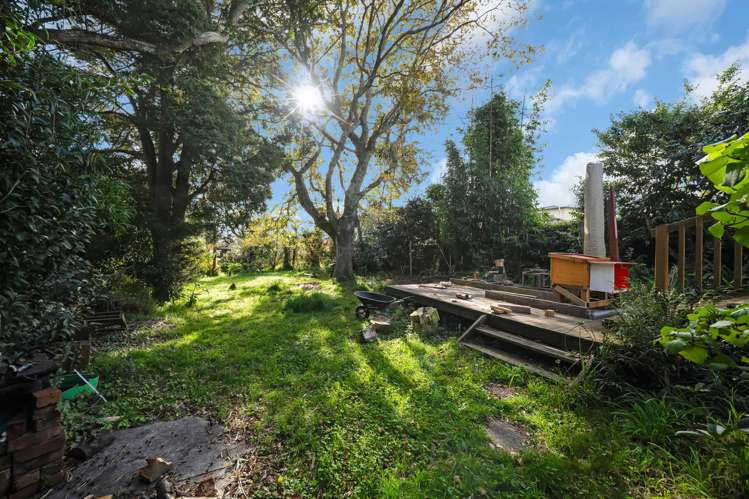 117 Hutchinson Avenue New Lynn_19