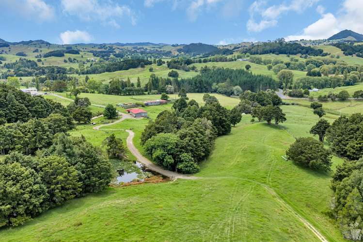 Pipiwai Road Purua_25